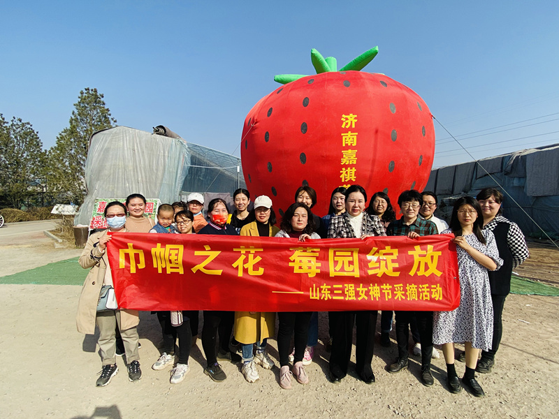 巾幗之花，莓園綻放 ——山東三強(qiáng)組織“三八”節(jié)踏青采摘活動